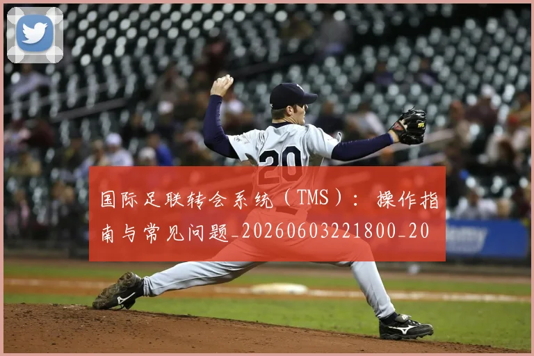 国际足联转会系统(TMS):操作指南与常见问题_20260603221800_20260719171006