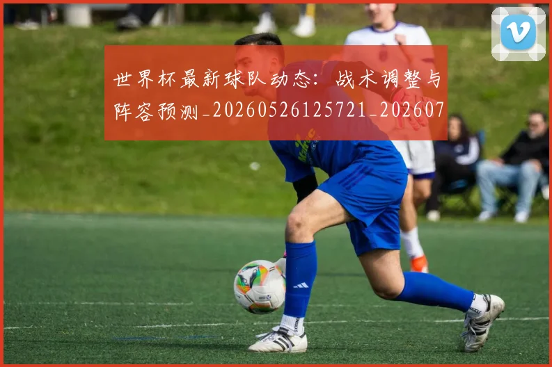 世界杯最新球队动态：战术调整与阵容预测_20260526125721_20260702174706_20260715192253