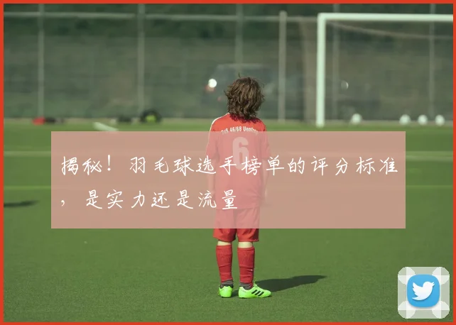 揭秘!羽毛球选手榜单的评分标准,是实力还是流量