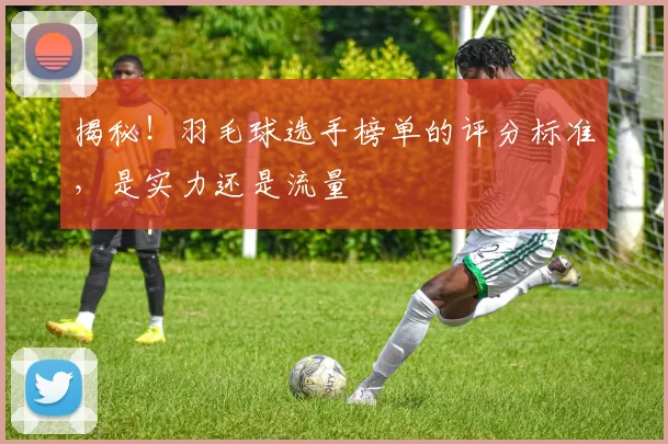 揭秘！羽毛球选手榜单的评分标准，是实力还是流量